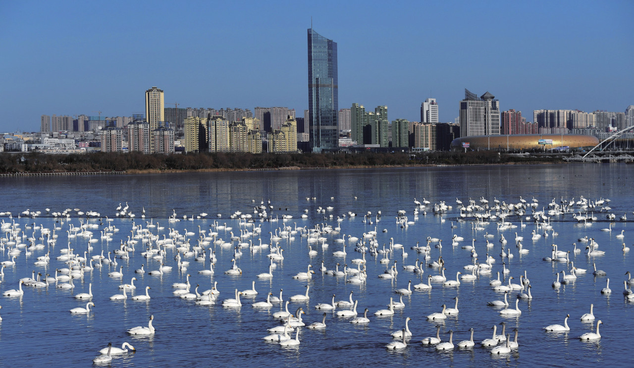 20191021170258591.jpg 20191021170258591.jpg