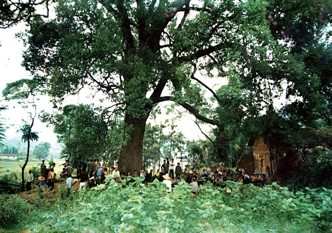 20191022102828579.jpg 20191022102828579.jpg